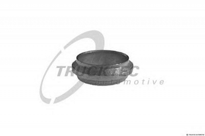 TRUCKTEC AUTOMOTIVE 0239002 -  Уплотнительное кольцо, труба выхлопного газа
